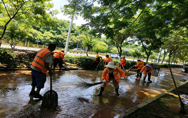 三十而励 实干建功㉜｜匠心守护城市容颜！岳阳楼区城西清扫保洁管理所高质量发展纪实
