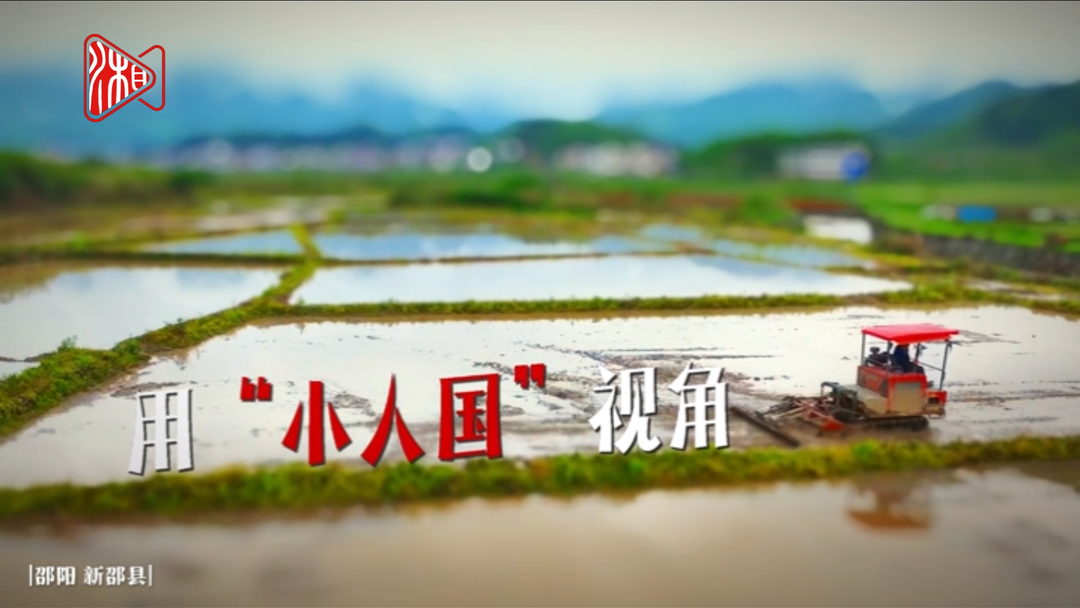 可可爱爱！看移轴镜头里的湖南春耕童话