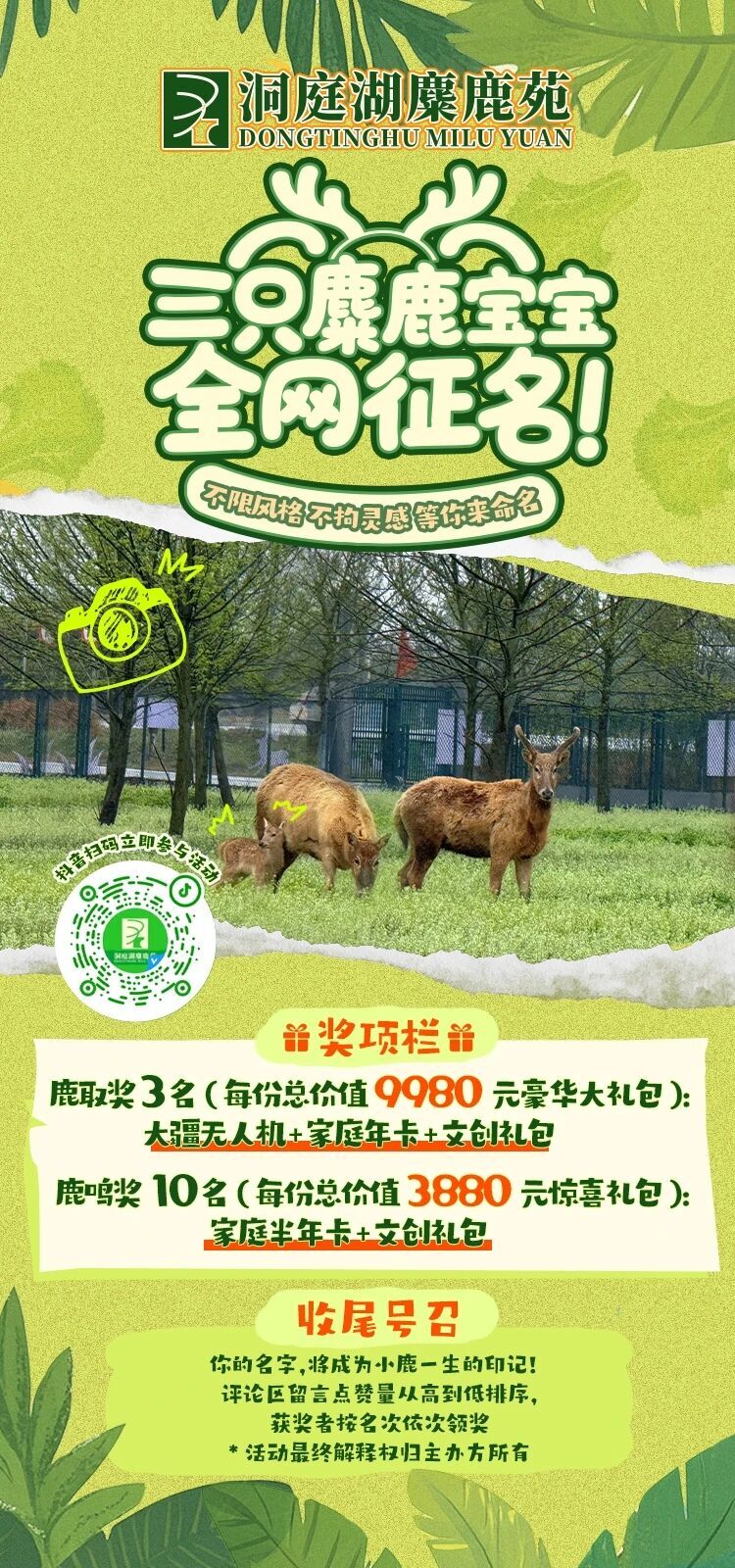 三只麋鹿宝宝，全网征名！