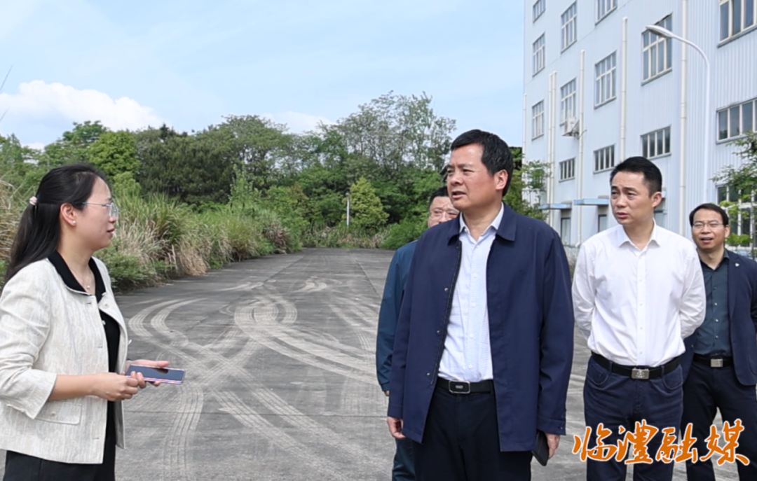 临澧：李雨初调研产业项目建设工作