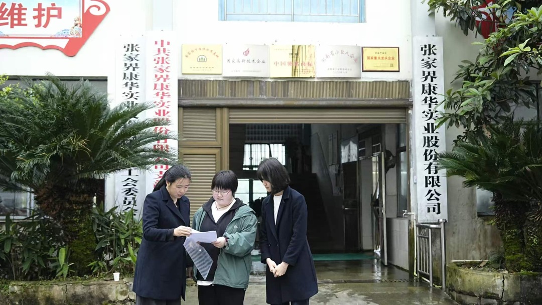 桑植：以“企业服务年”行动激发县域经济新活力