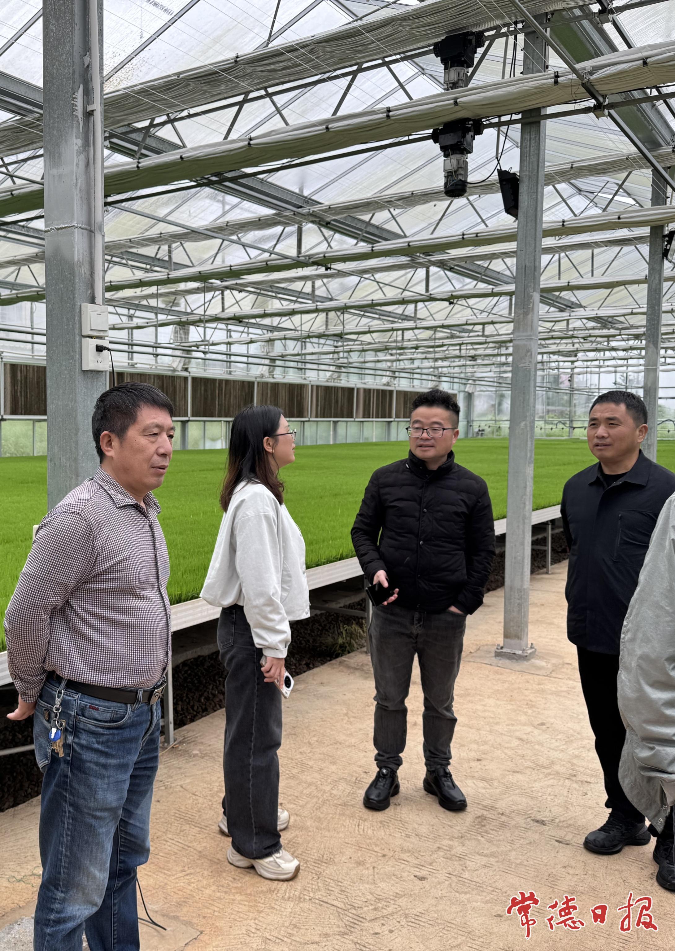 专家把脉智慧农业  精准护航早稻生产