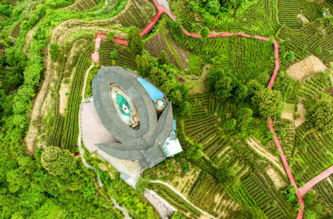 保靖黄金茶成功入选传统优势茶产区和地方特色茶产业培育工程名录