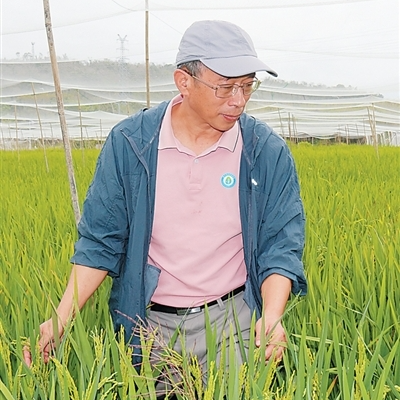 把代码“种”进泥土，人工智能大数据如何助力选种？