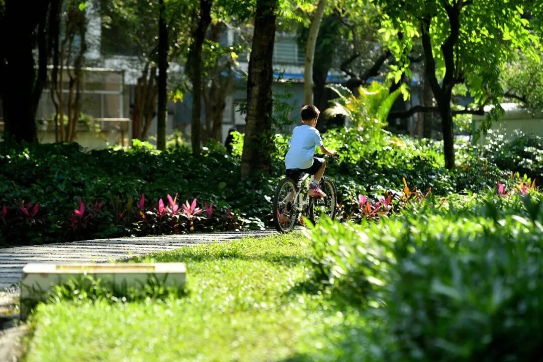暴雨、大暴雨上线！一直下到“五一”
