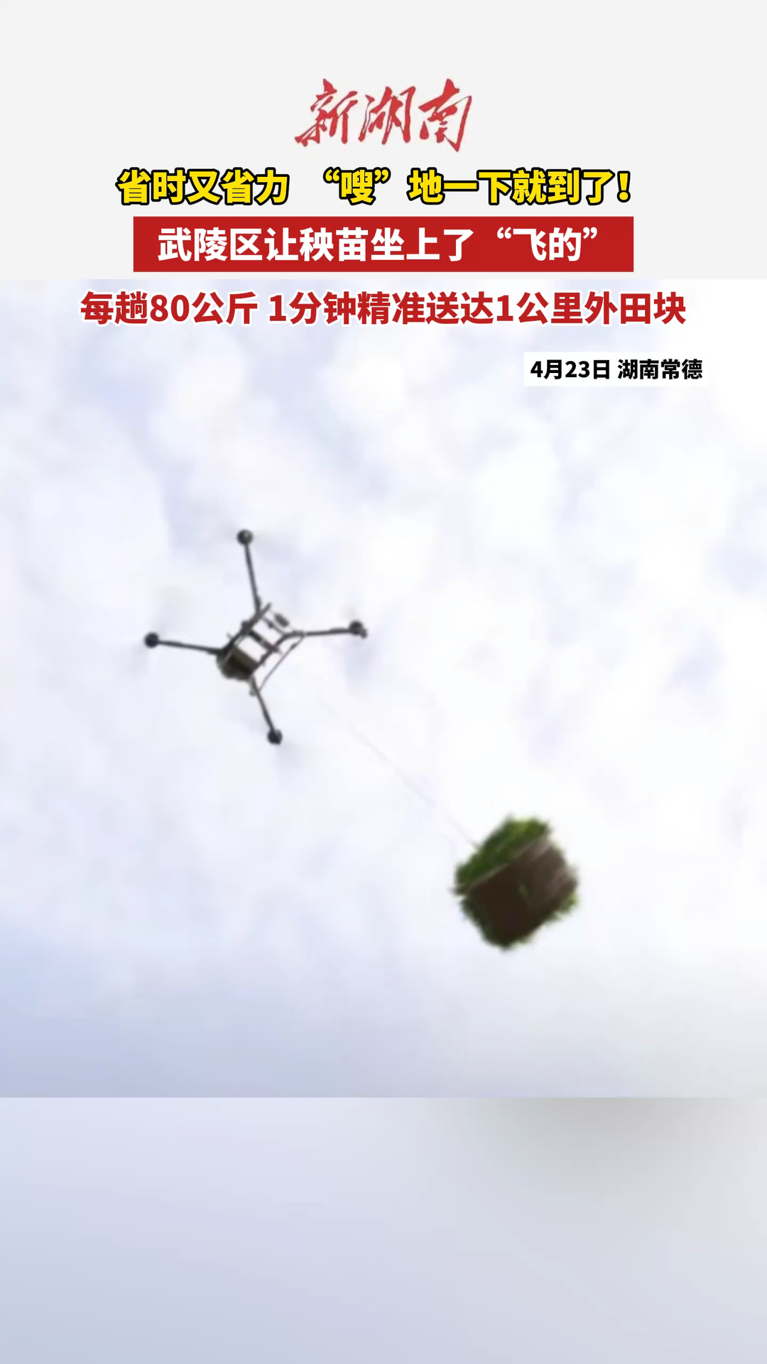 武陵区：让秧苗坐上“飞的” 