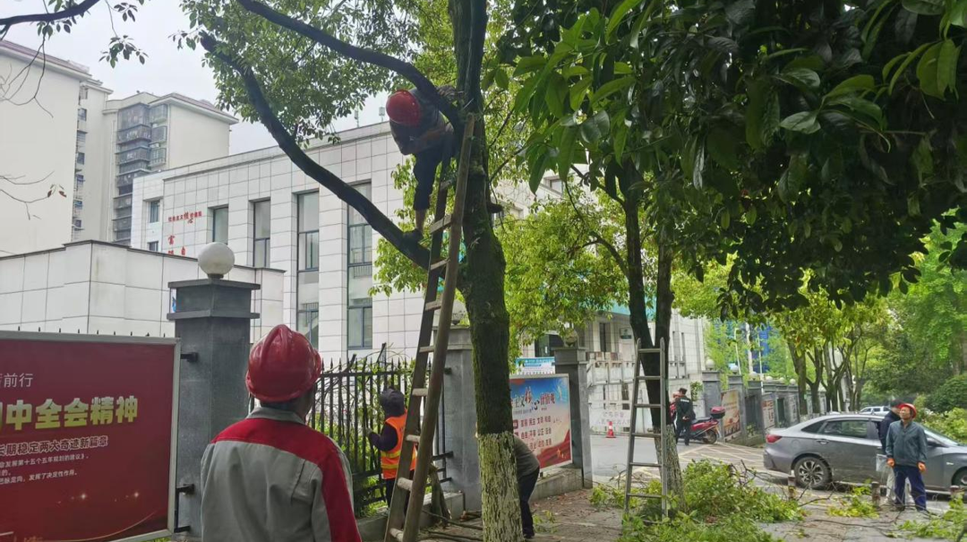 抢抓春季黄金期 精修细补焕新颜