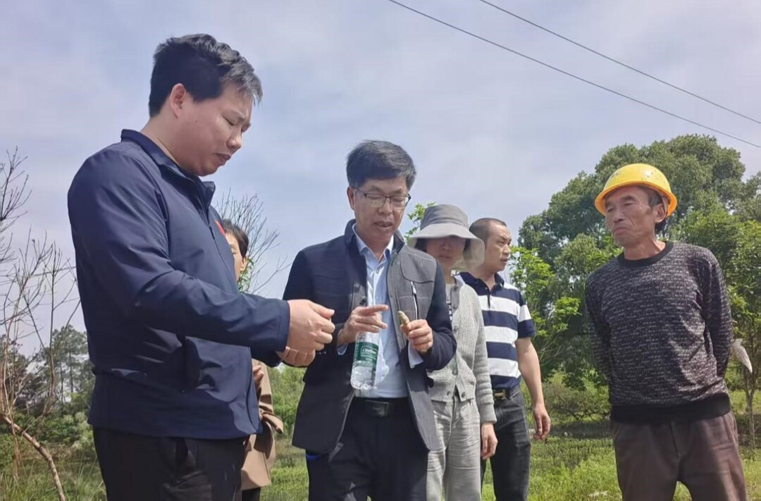 苗至、技至、心至：民盟“科技春风”吹遍青竹村田垄