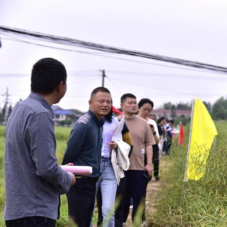 湘乡举办油菜新品种观摩培训会