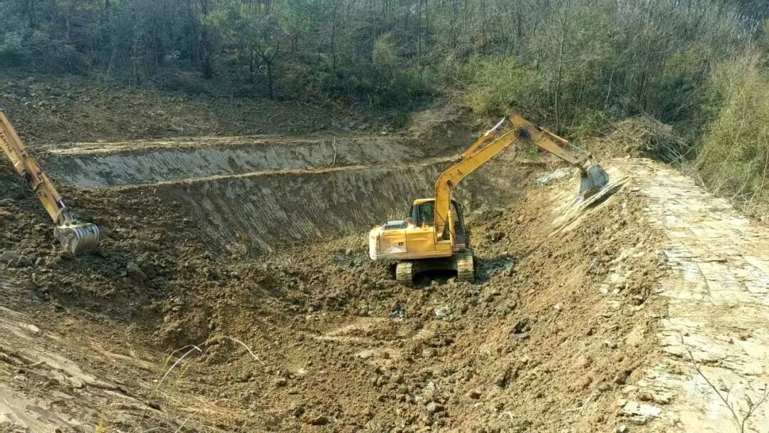 桃源县热市镇：清渠通水润民心 干群同心护粮安