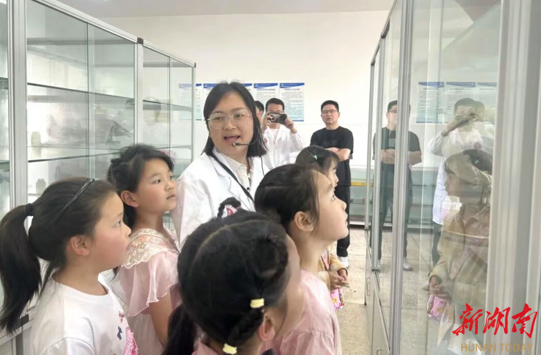 湖南幼专附小：少年学子探秘奇妙生物世界
