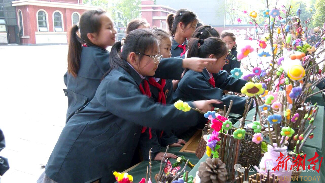 武陵区第一小学举行树木主题科普活动