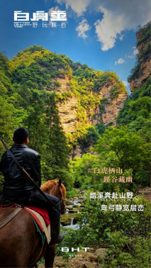 35.png 图片