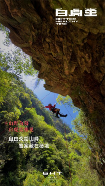 33.png 图片