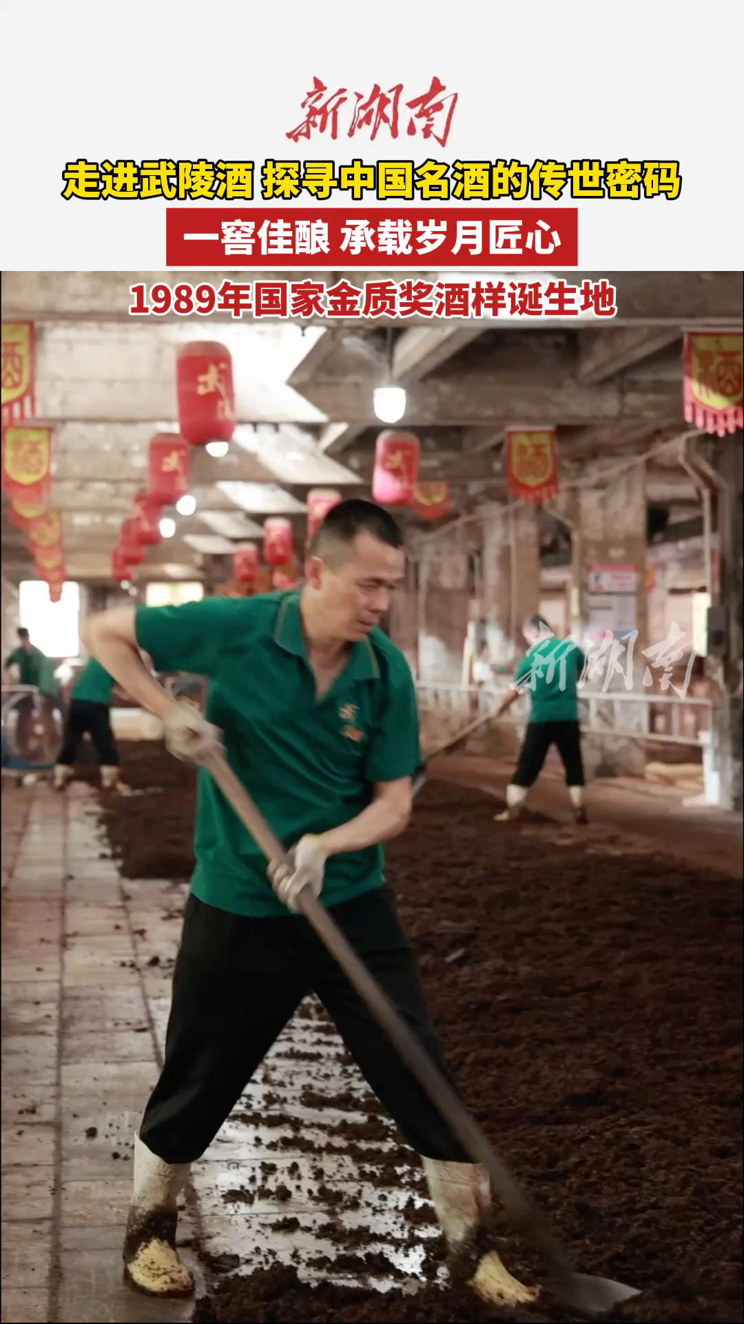 走进武陵酒 探寻中国名酒的传世密码