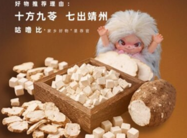 家鄉好物 靖州茯苓