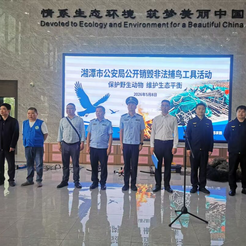 敢猎捕就严惩！湘潭集中销毁捕鸟网、捕猎夹，曝光一起典型案例