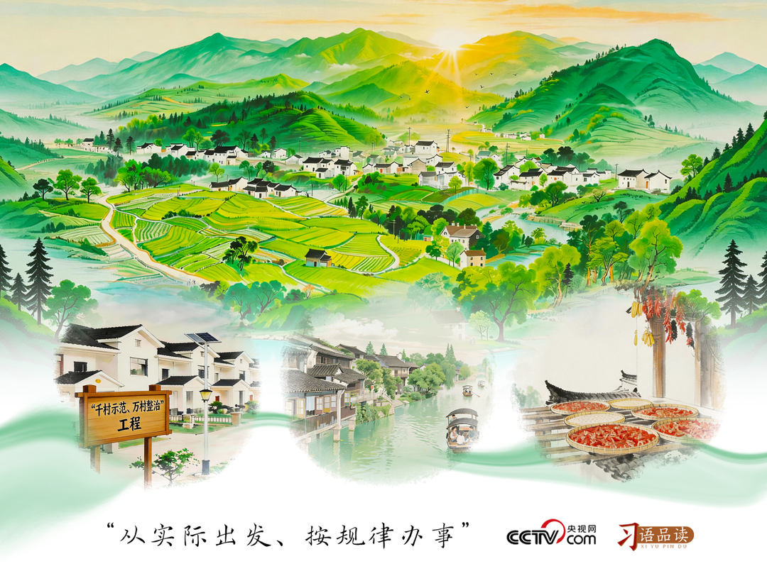 人民之心｜从实际出发、按规律办事