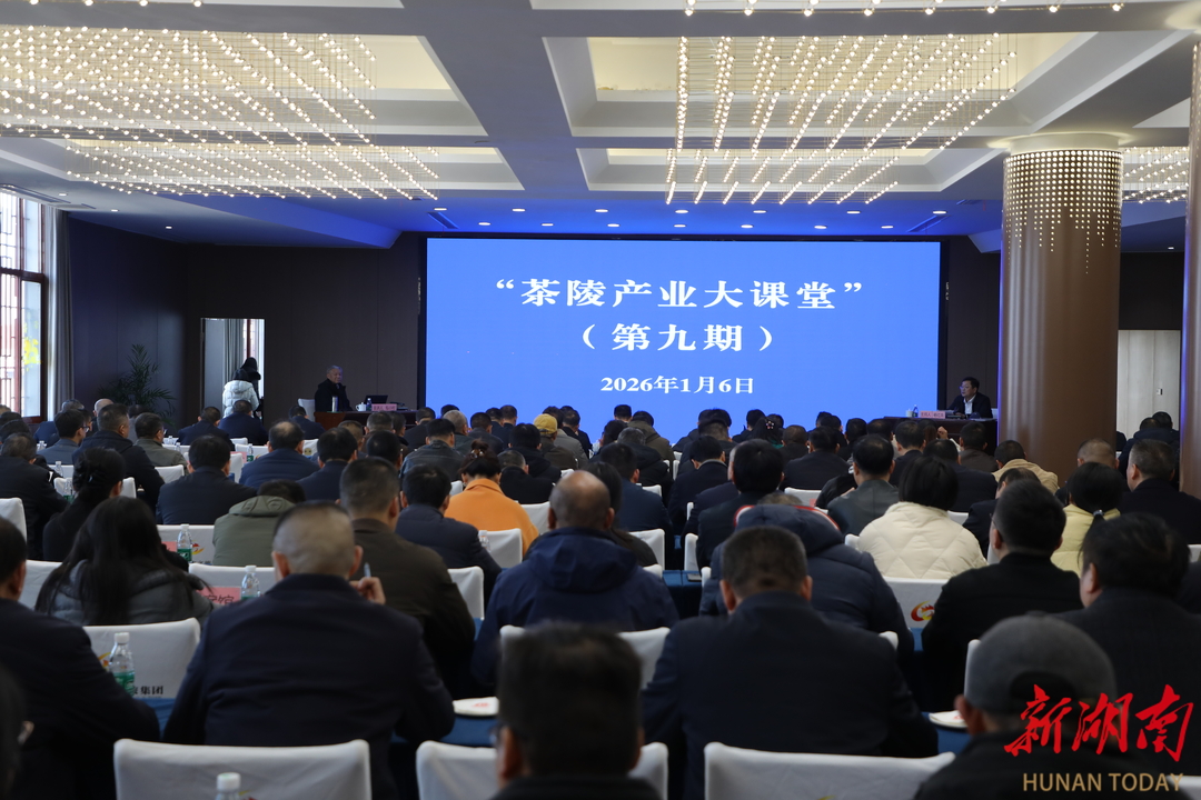 株洲市一季度讲评会上，茶陵作典型发言