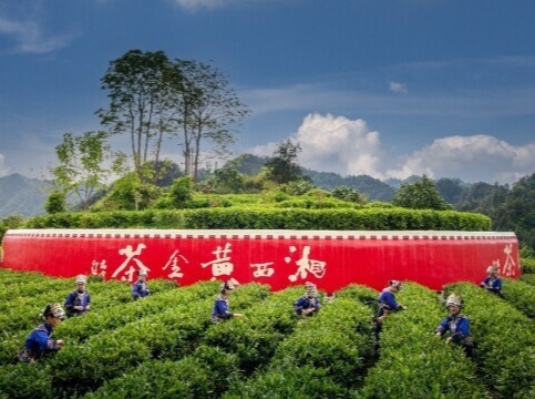 联合国认证！湖南5个村子凭实力出圈