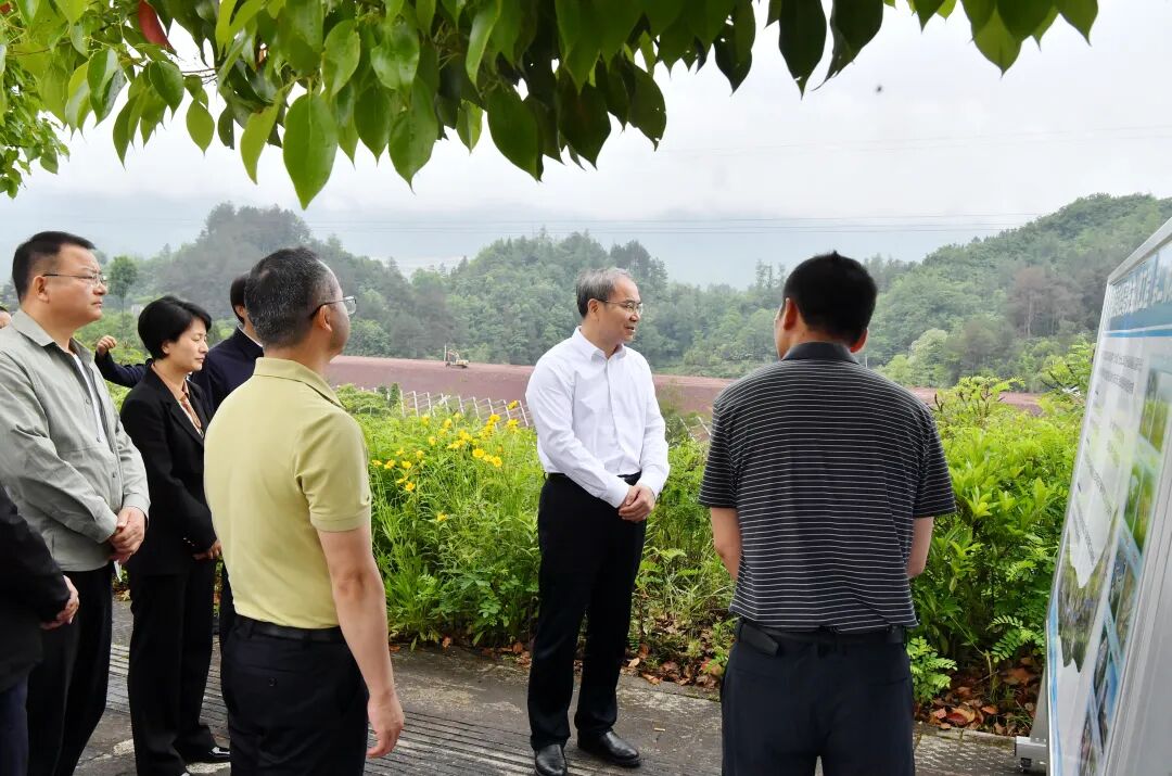 刘革安调研桑植县经济社会发展情况