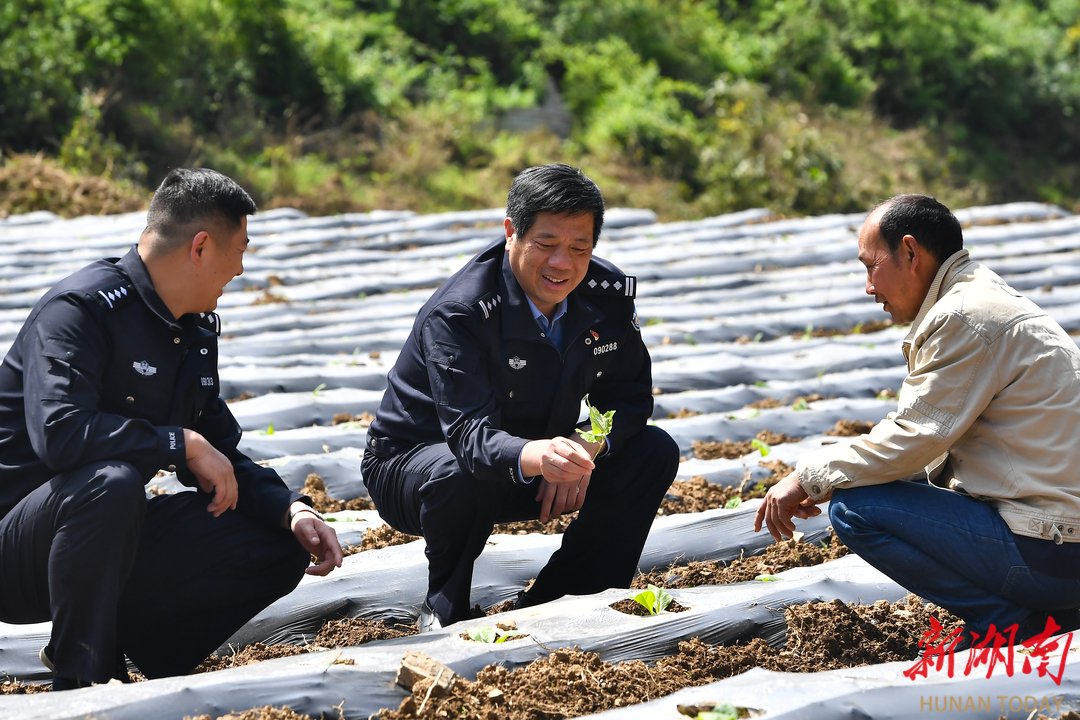 大山的回答—— 记张家界市公安局驻村民警胡忠权