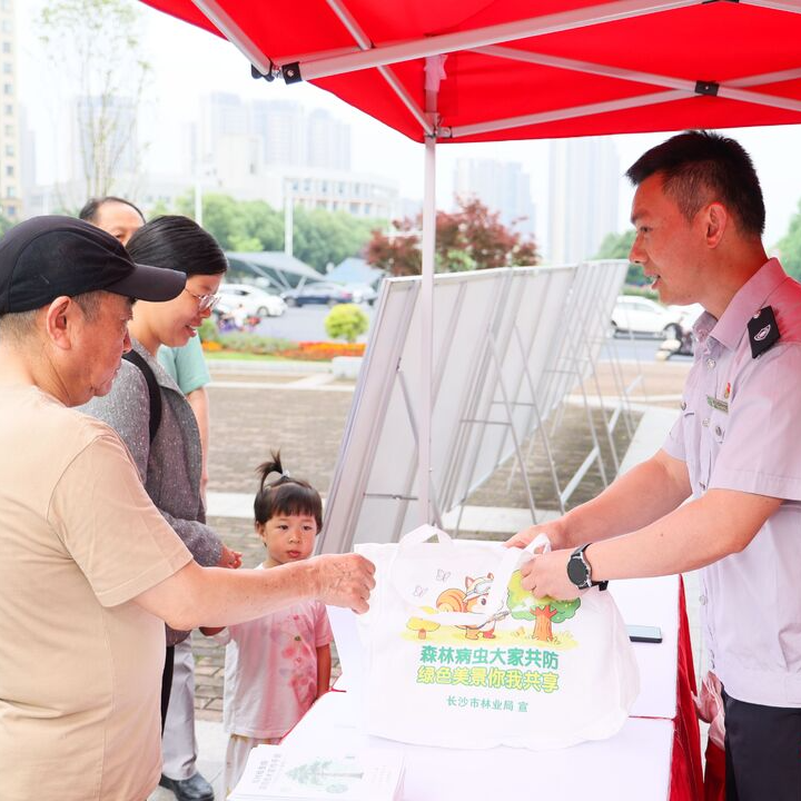 长沙松材线虫病疫情连续四年“四下降”
