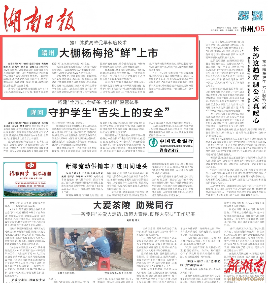 靖州大棚杨梅抢“鲜”上市