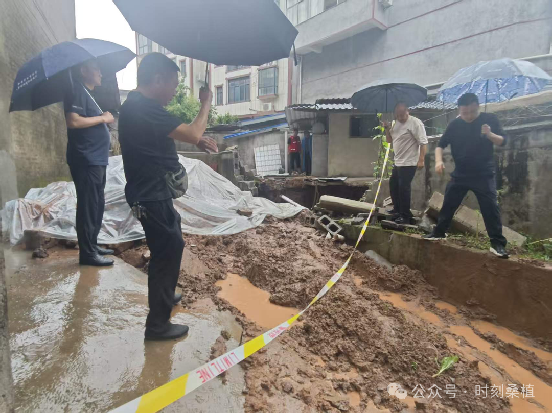 迎战汛情丨桑植县澧源镇迅速处置内涝险情 转移安置群众4人