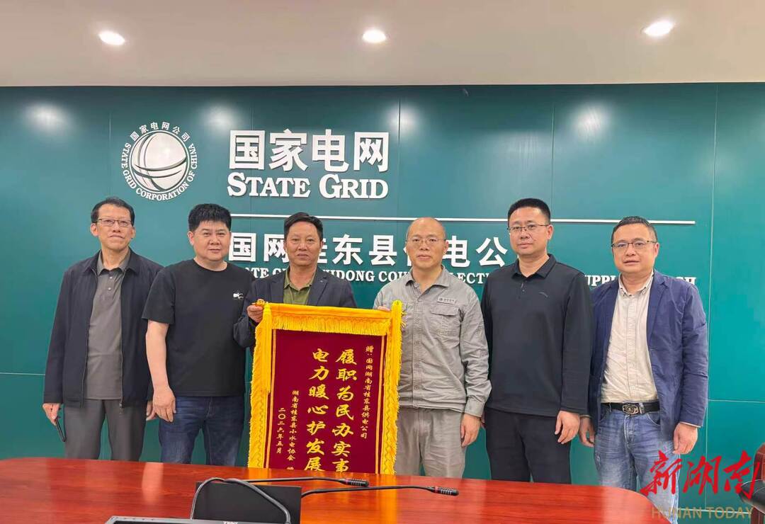 国网桂东县供电公司：电力暖心护发展 锦旗致谢显真情