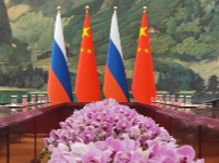 习言道｜中俄元首再会晤，几个关键数字