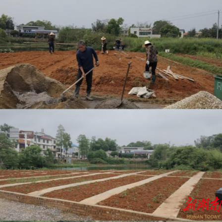 湘潭县向红村：路域环境焕新颜 群众共享蝶变红利