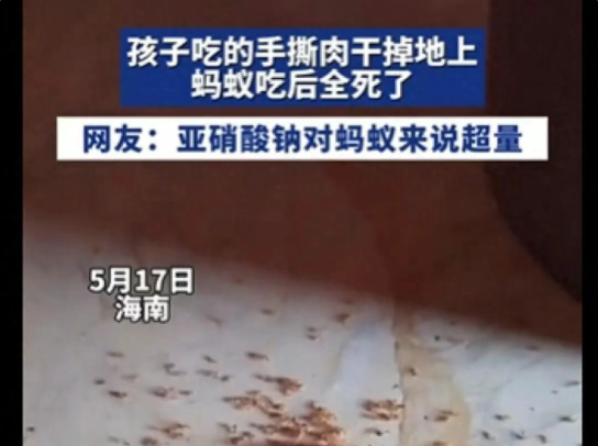 孩子零食碎渣掉地上，蚂蚁吃完集体死亡