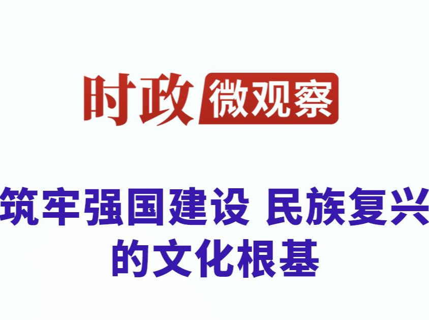 时政微观察丨文以载道 以文化人