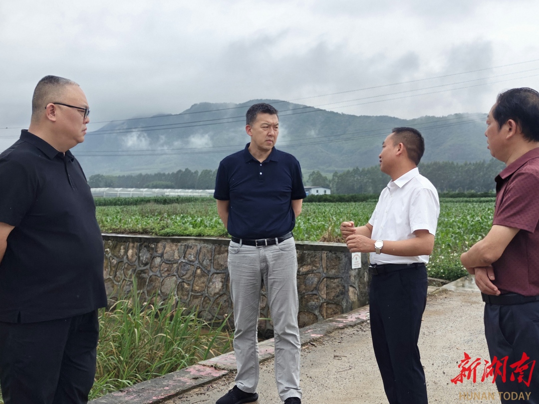 江永｜李群辉调度督导高标准农田建设领域集中整治工作