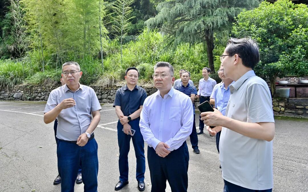 陈澎专题调研重点招商引资项目推进工作