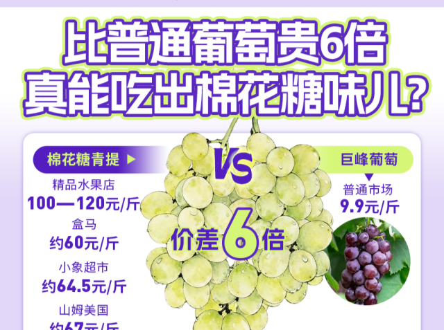 网红葡萄60元一斤比牛肉还贵，多地卖断货