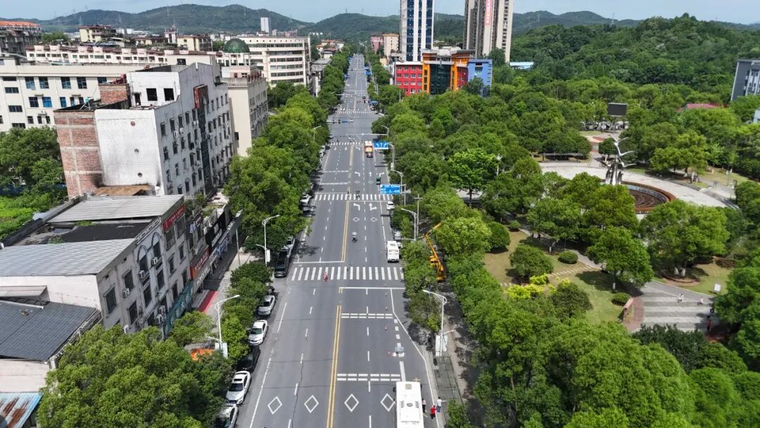 精修绿障护民生 细琢市容焕新颜 (5).JPG