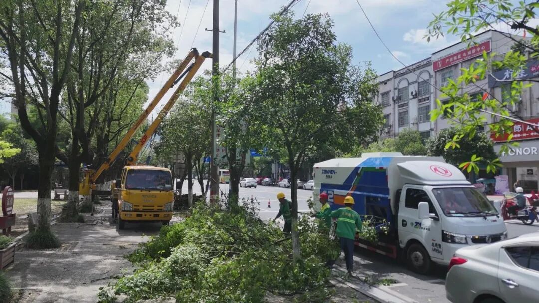 精修绿障护民生 细琢市容焕新颜 (1).jpg
