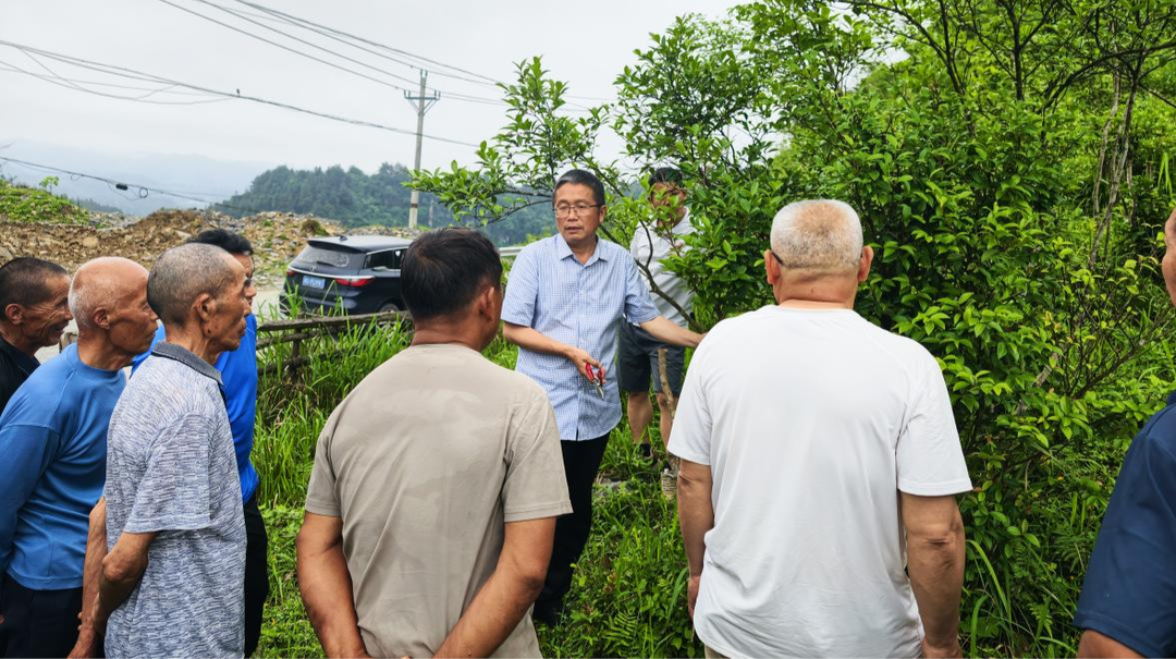 一果链动两片区 技术赋能助共富