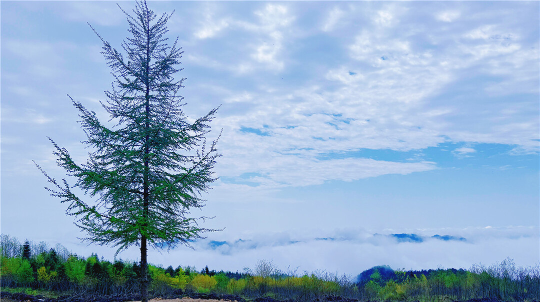 散文｜云间车拉坪：海拔1011米的长寿之村
