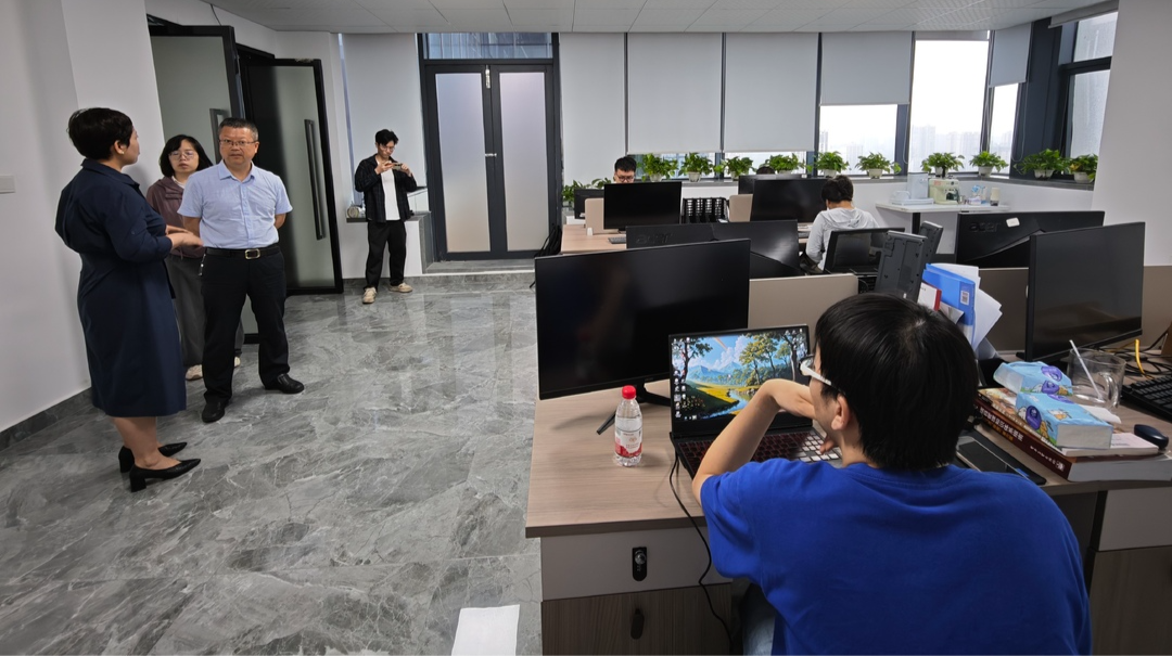 湘西州数据局四大举措力挺数字产业突围