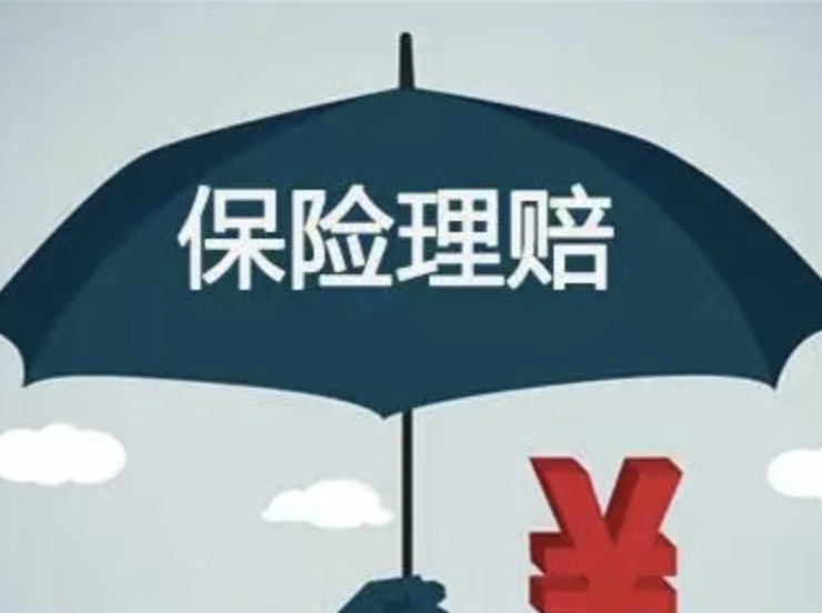 风雨中的守护——常德市金融行业驰援石门灾区纪实