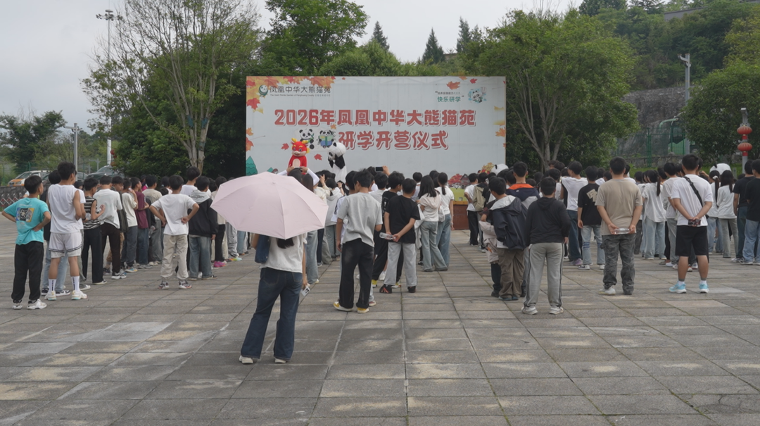凤凰中华大熊猫苑研学热度持续高涨