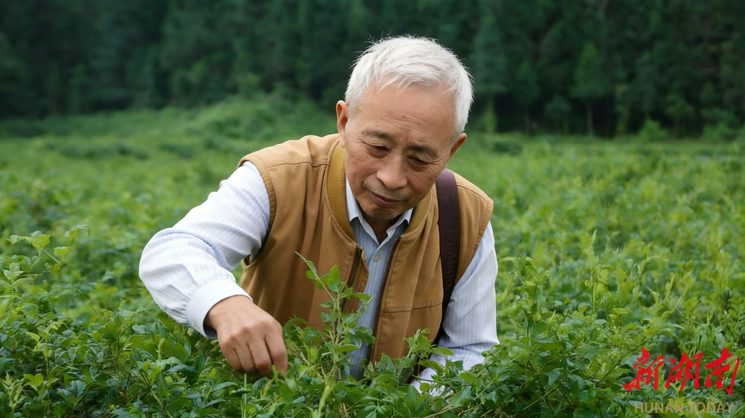 第十个全国科技工作者日 | 黄宏全：半生为 “莓” 一心为民