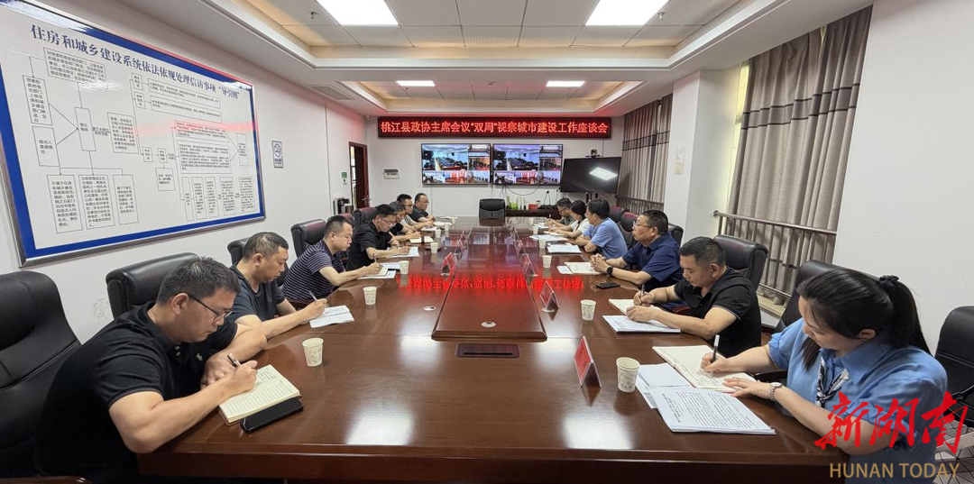 聚焦城市建设工作，桃江政协开展“双周”视察 