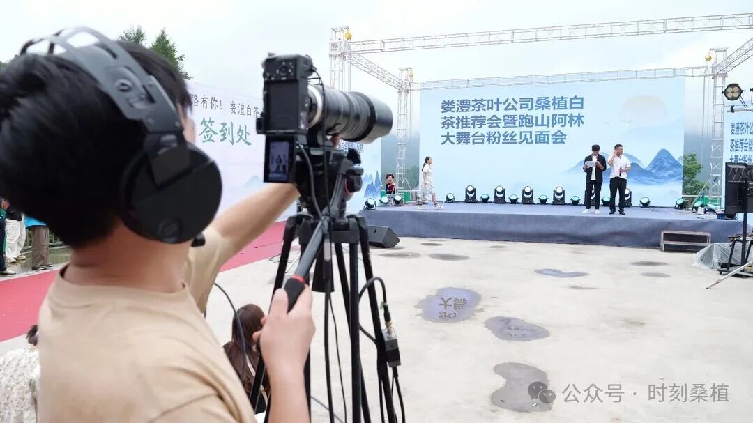 网红助力桑植白茶线上推介 拓宽销售渠道赋能茶农增收