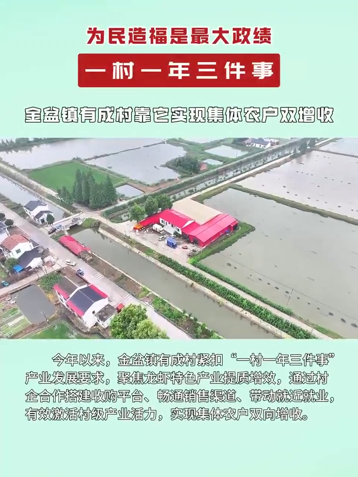 一村一年三件事｜村企联手搭平台！大通湖区金盆镇有成村特色龙虾产销两旺促共富