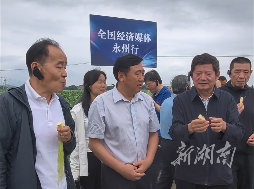 全国经济媒体永州行⑤｜道县特色蔬菜惹人爱，产值超32亿元