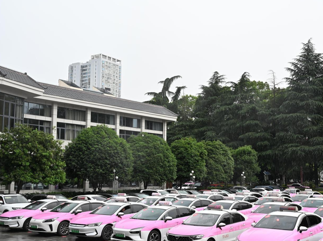 800台爱心车辆整装待发 考生可凭准考证免费乘车